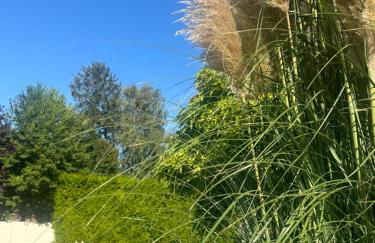 Auguststadt-Residenz - Foto 41