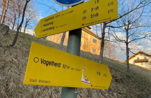 Casa Hirsch - zentral in Miesbach - Foto 20