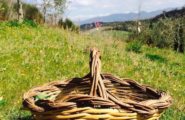 Bio Agriturismo Valle dei Calanchi - Foto 61