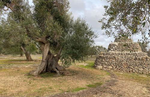 Casa Vacanze Lisa - Foto 13