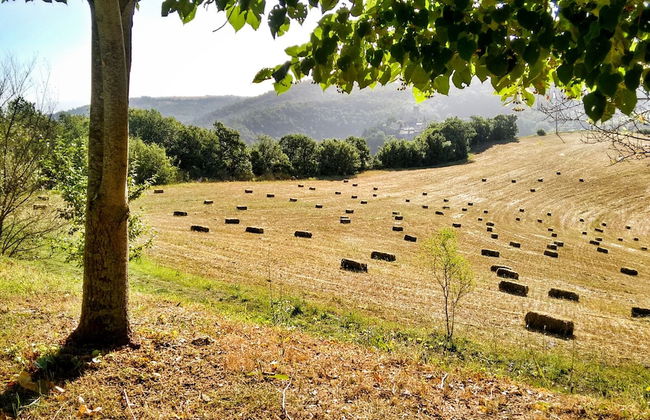 Agriturismo Casa Greppo - Il Noce - Foto 57