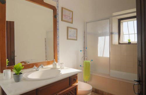 Monte Ribeira de Mures - Foto 23