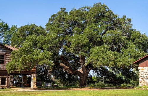 Cole Springs Historic Cottage - Foto 49