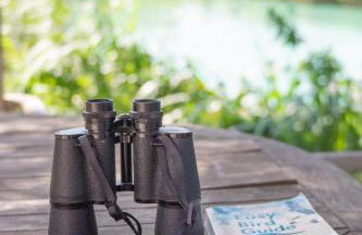 Welhams Meadow Holiday Lodges - Foto 16