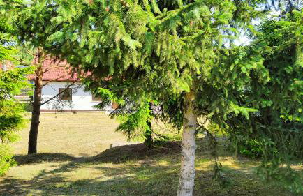 Biały Domek Nielbark - Agroturystyka - Foto 16