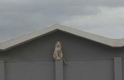 Blue Flag Award Winning Ormos Lo Beach: Home 1 - Foto 55