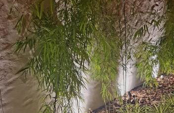 Villa Andorinha -Apto01 - Foto 37