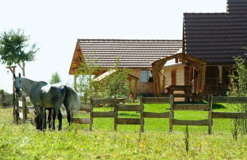 SAS Le Hameau des Grilles - Foto 8