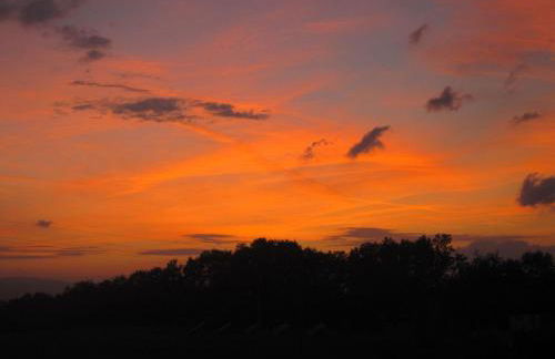 Apartment Sonnenblume Wohnung by Interhome - Foto 50