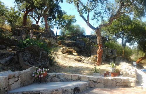 Flor da Ramila - Foto 7