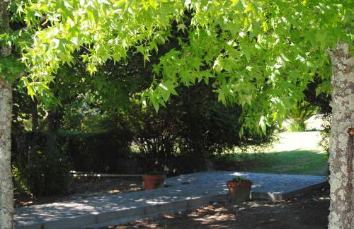 Quintinha Santar - Foto 33