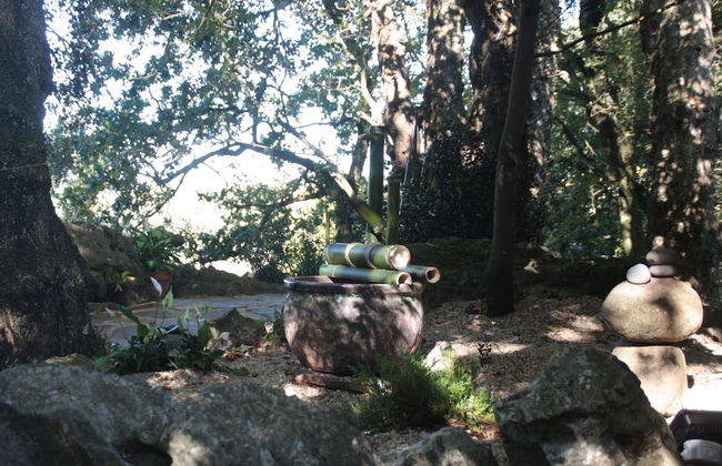 Los Acebos de Peña Cabarga - Foto 51