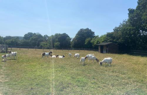 The Nookery - Foto 49