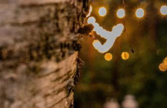 Szklany Dom nad Łąkami - Foto 79