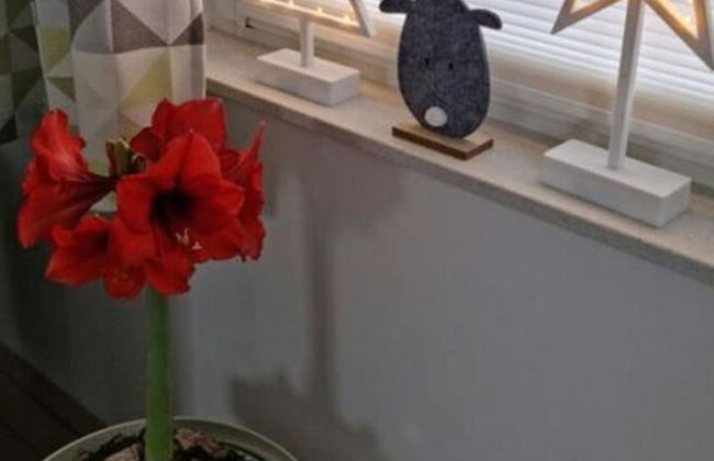 Holiday Home Sundtraum - Foto 24