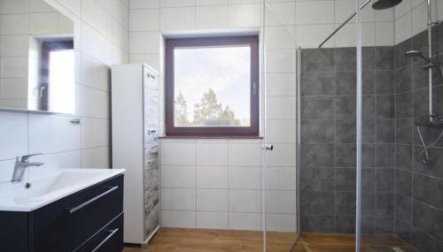 Willa u Hanysa - Foto 4, Shower