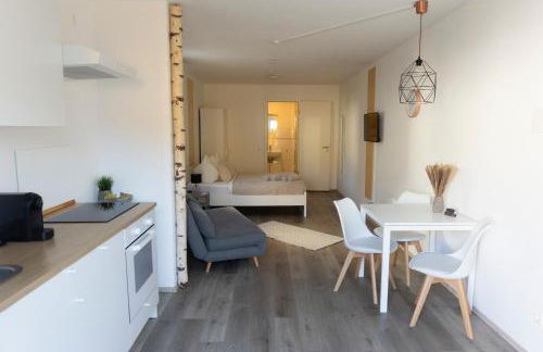 HUGOS Studio Apartment - Photo 3