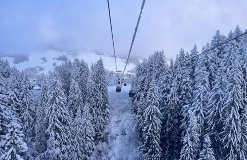 Appartement à Megève skis aux pieds - La CABOCHE - Photo 21