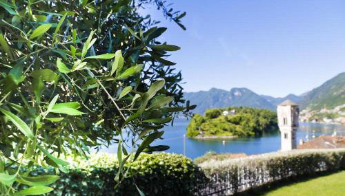 Villa del Dottore - Foto 5, Garden
