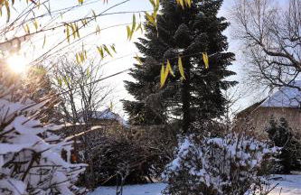 Gästehaus Willaringen - Foto 40