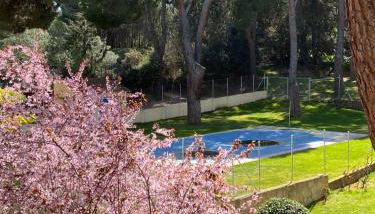 Apt Romántico con chimenea con Fibra óptica y terraza - Foto 5, Garden