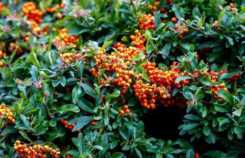 3 Bed in Abersoch oc-bramab - Photo 28