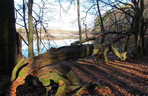 FeWo mit Balkon, Zimmermann - Foto 33