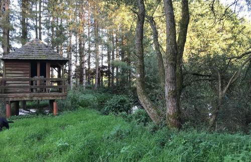 Betty's Cottage - Traditional Norfolk Farm Cottage - Foto 26