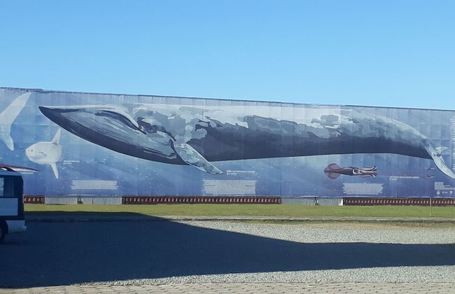 Apart ZSS - Photo 70