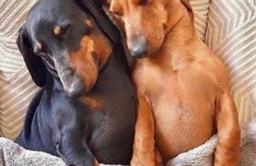 Private Loft Country Hideaway - Foto 13