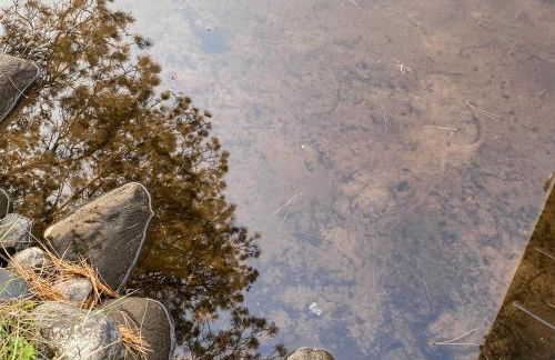 Camp Farrell - Foto 52