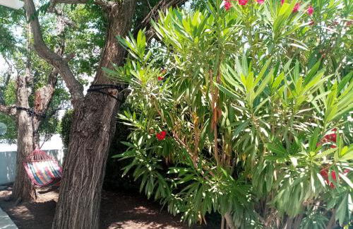 Residence Orsa Minore - Photo 77