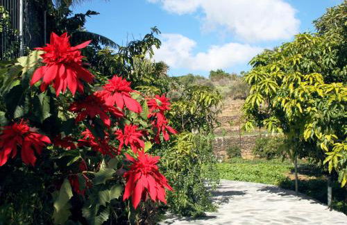 Casa Rural El Lirón - Foto 32