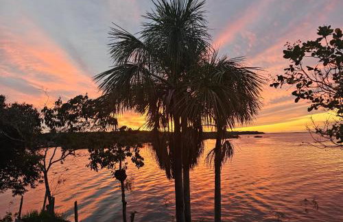 Premium Amazon Jungle Lodge - Foto 1