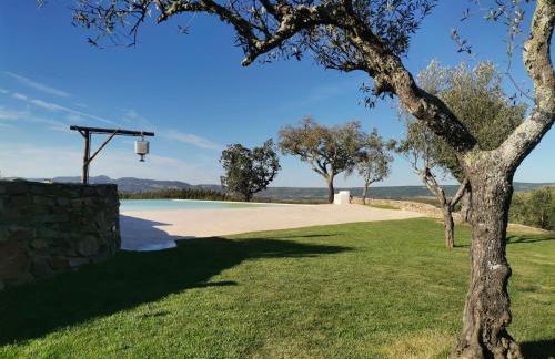 Chão da Velha - Casas de Campo - Foto 19