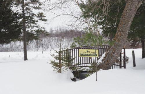 Spruces at Pine Cone Lodge- Big Sand Lake - Foto 39