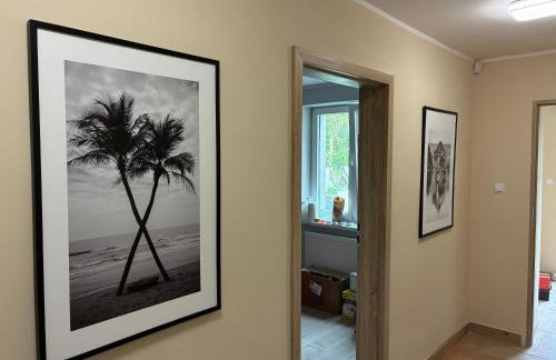 Chata Smarzewo - Foto 22