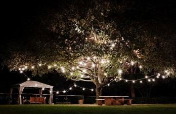 Villa Sant'Alberto - Foto 38