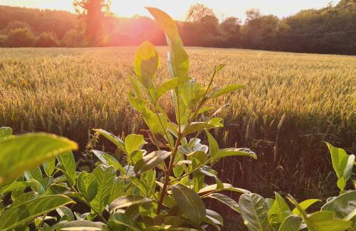 SunsetView - Foto 18