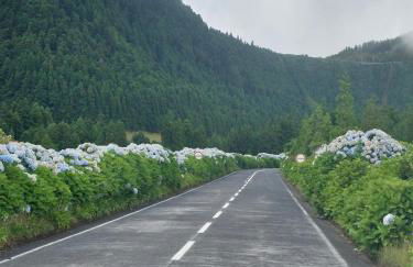 Casa da Ermida - Photo 12