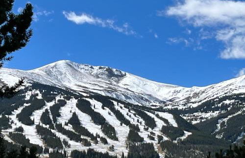 Ski in Ski out Resort Breckenridge 1BR 2Beds Parking, Resort Shuttle & Amenities - Foto 12