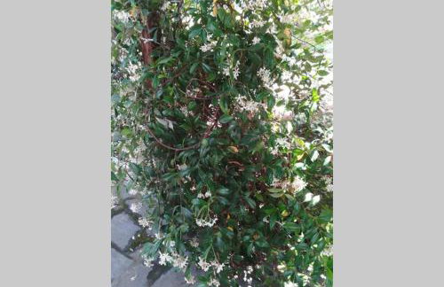 Irinis Cottage - Foto 12