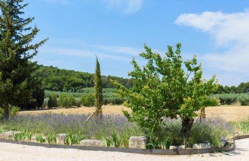 Domaine du Mas Foucray - Foto 74