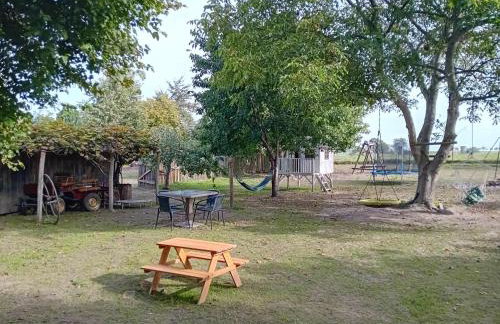 Agroturystyka Zielony Zakątek - Foto 57