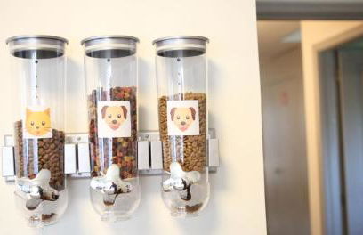 Woof & Sun - Foto 10