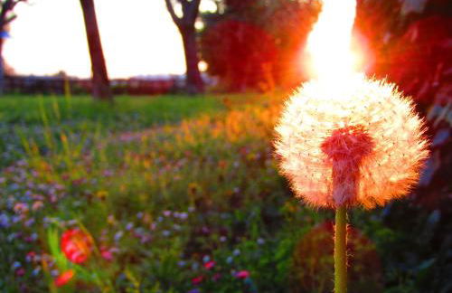 Residenza Torre Antica - Foto 30