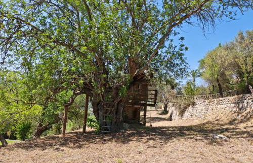 La Zalema - Photo 44