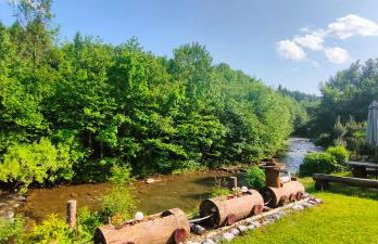 Księżycowe Domki w Bieszczadach - Foto 10