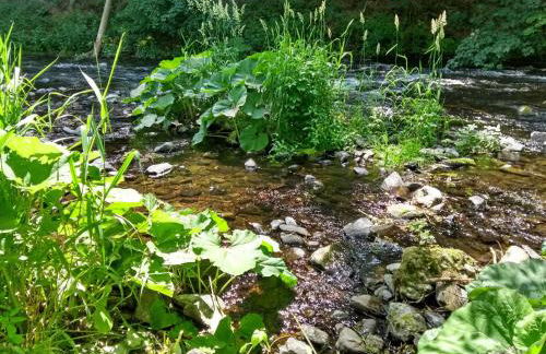Ferienhaus Bodebaude - Foto 23