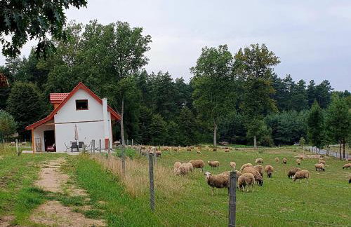 Agroturystyka Stara Huta - Domek Boho - Foto 30